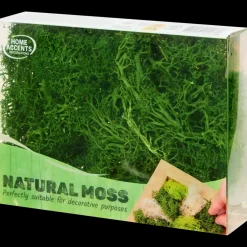 Seizoensdecoratie- Decoratief mos | Action NL