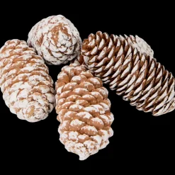 Woonaccessoires- Decoratiemix | Action NL