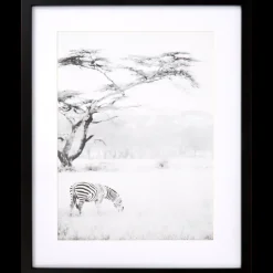 Fotolijstjes- Fotolijst Texas 40 x 50 cm | Action NL