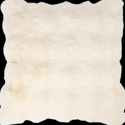 Kussens- Kussenhoes Maxime 45 x 45 cm | Action NL