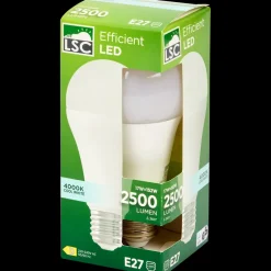 Verlichting-LSC ledlamp 17 watt 2500 lm | Action NL