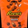 Chocolade-Reese's Reese's Peanut Butter Cups Mini's | Action NL