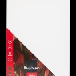 Schilderen-Van Bleiswijck schildersdoek | Action NL